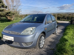 Gallery image of Ford Fiesta